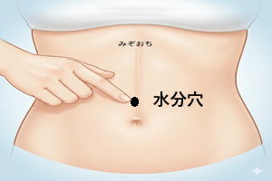 �c�{�̏Љ�i�������̈ʒu�j